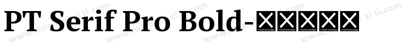 PT Serif Pro Bold字体转换